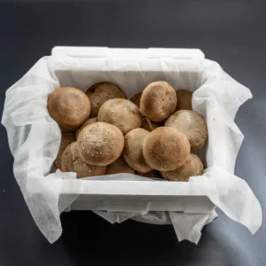 (도담) 도담 표고버섯 특품, 상품 500g